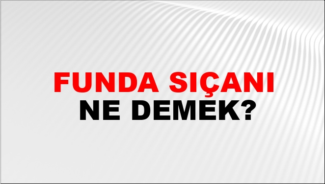 funda-s-an-ne-demek-funda-s-an-kelimesinin-tdk-s-zl-k-anlam-nedir