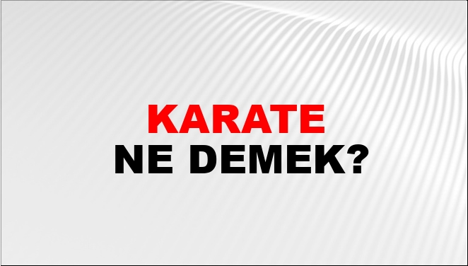 Karate Ne Demek? Karate Kelimesinin TDK Sözlük Anlamı Nedir? - NTV Haber