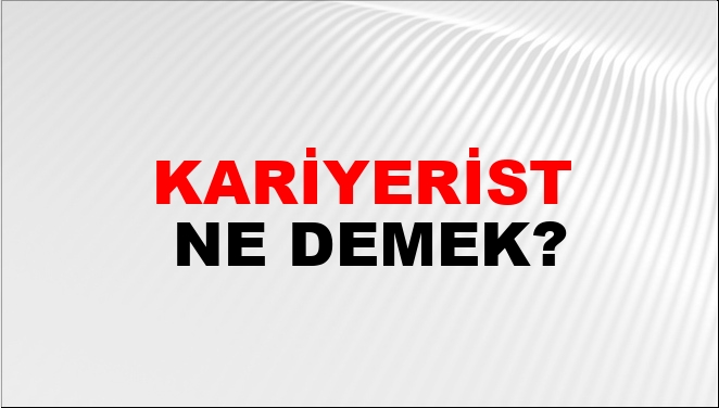 Kariyerist Ne Demek?