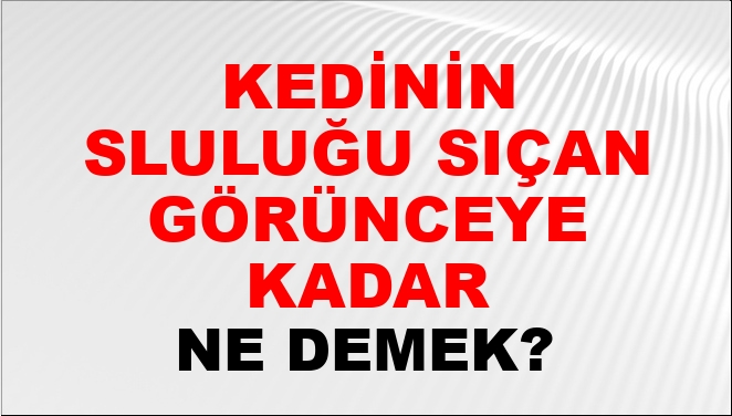 Kedinin Usluluğu Sıçan Görünceye Kadar Ne Demek? Kedinin Usluluğu Sıçan ...