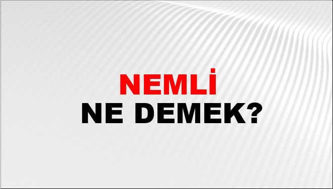 Nemli Ne Demek?