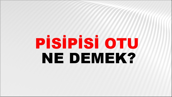 Pisipisi Otu Ne Demek?