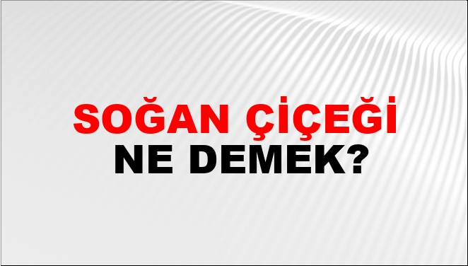 Soğan Çiçeği Ne Demek? Soğan Çiçeği Kelimesinin TDK Sözlük Anlamı Nedir