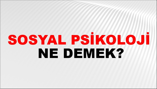 Sosyal Psikoloji Nasıl Yazılır Ntv Haber