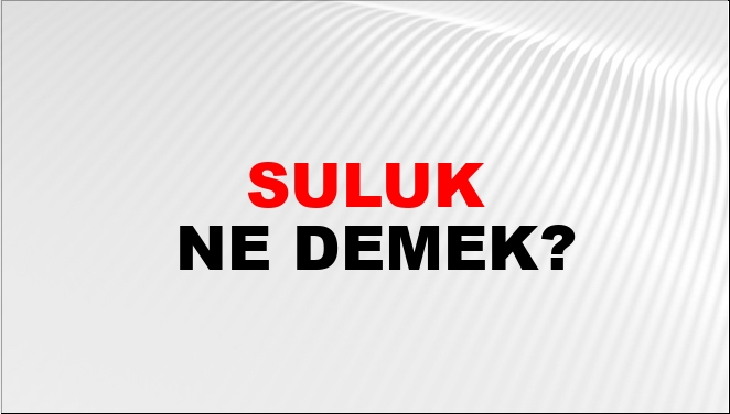 Süluk ne demek TDK?