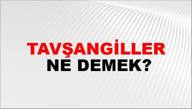 Tavşangiller Nasıl Yazılır?