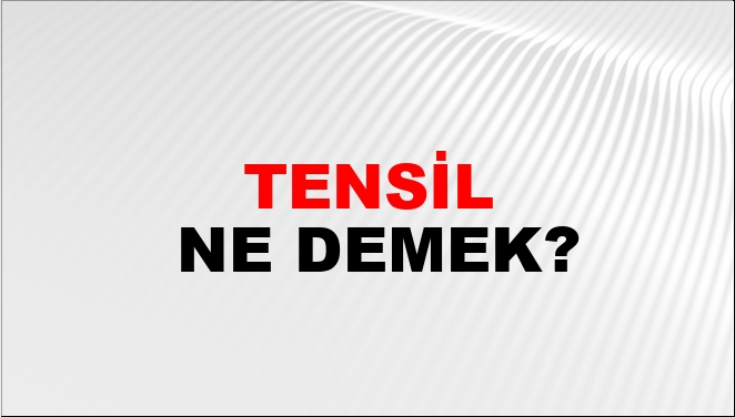 Tensil Ne Demek? Tensil Kelimesinin TDK Sözlük Anlamı Nedir? - NTV Haber