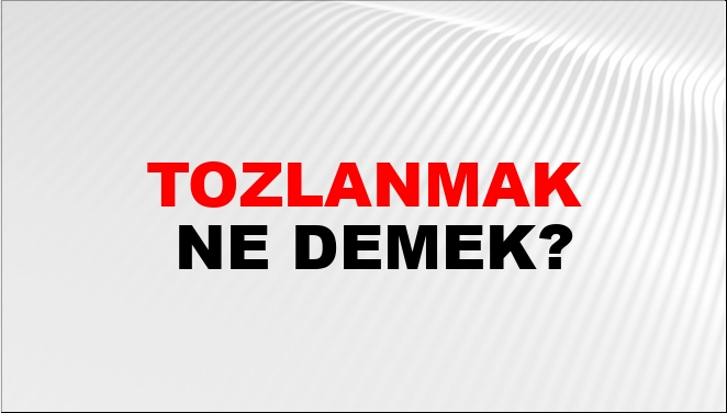 Tozlanmak Ne Demek?