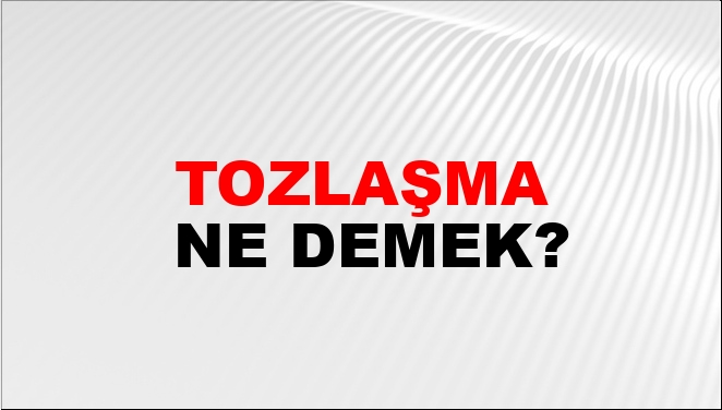Tozlaşma Ne Demek?
