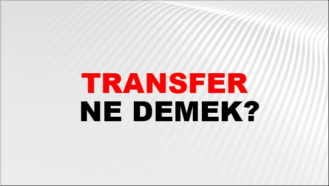 l will send ne demek