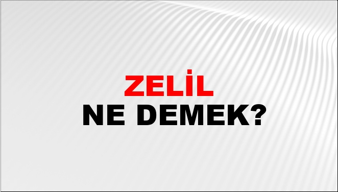 Zelil ne demek TDK?