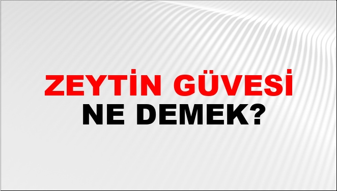 Zeytin Güvesi Ne Demek?