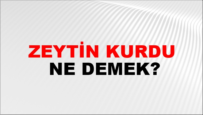 Zeytin Kurdu Ne Demek?