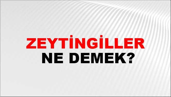 Zeytingiller Ne Demek?